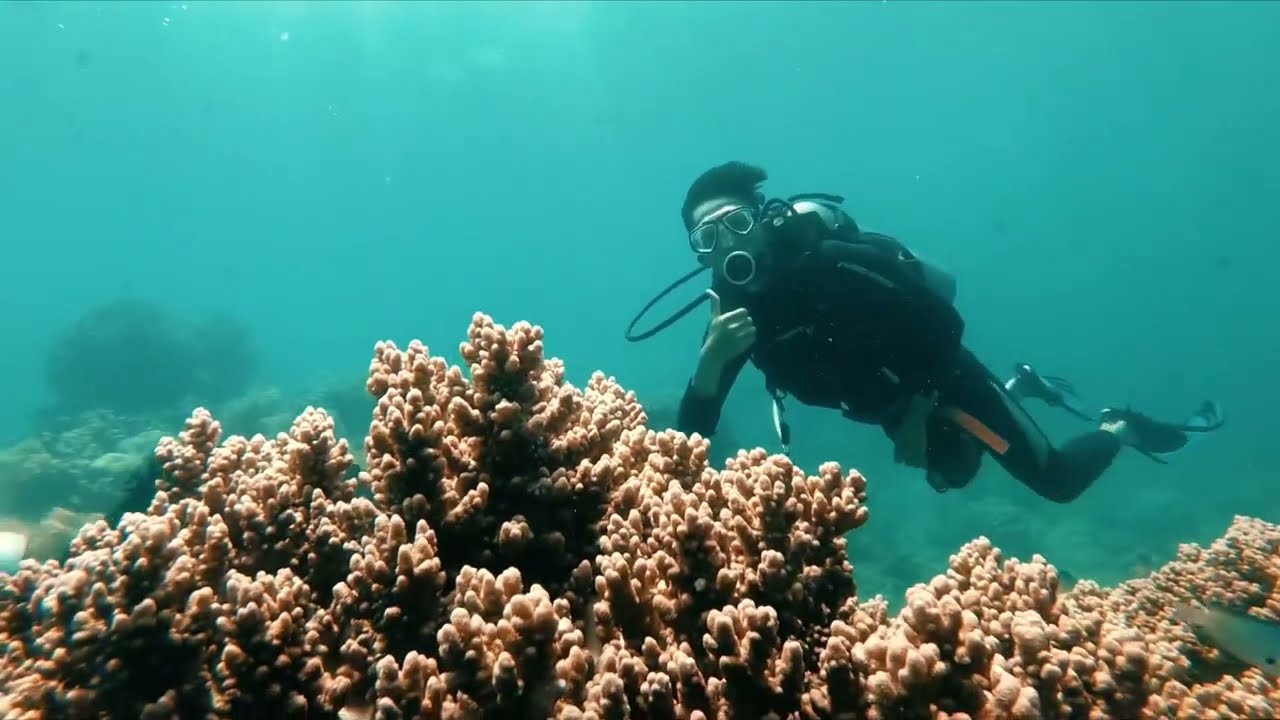 Review lặn biển Nha Trang - Tour 3 đảo Nha Trang