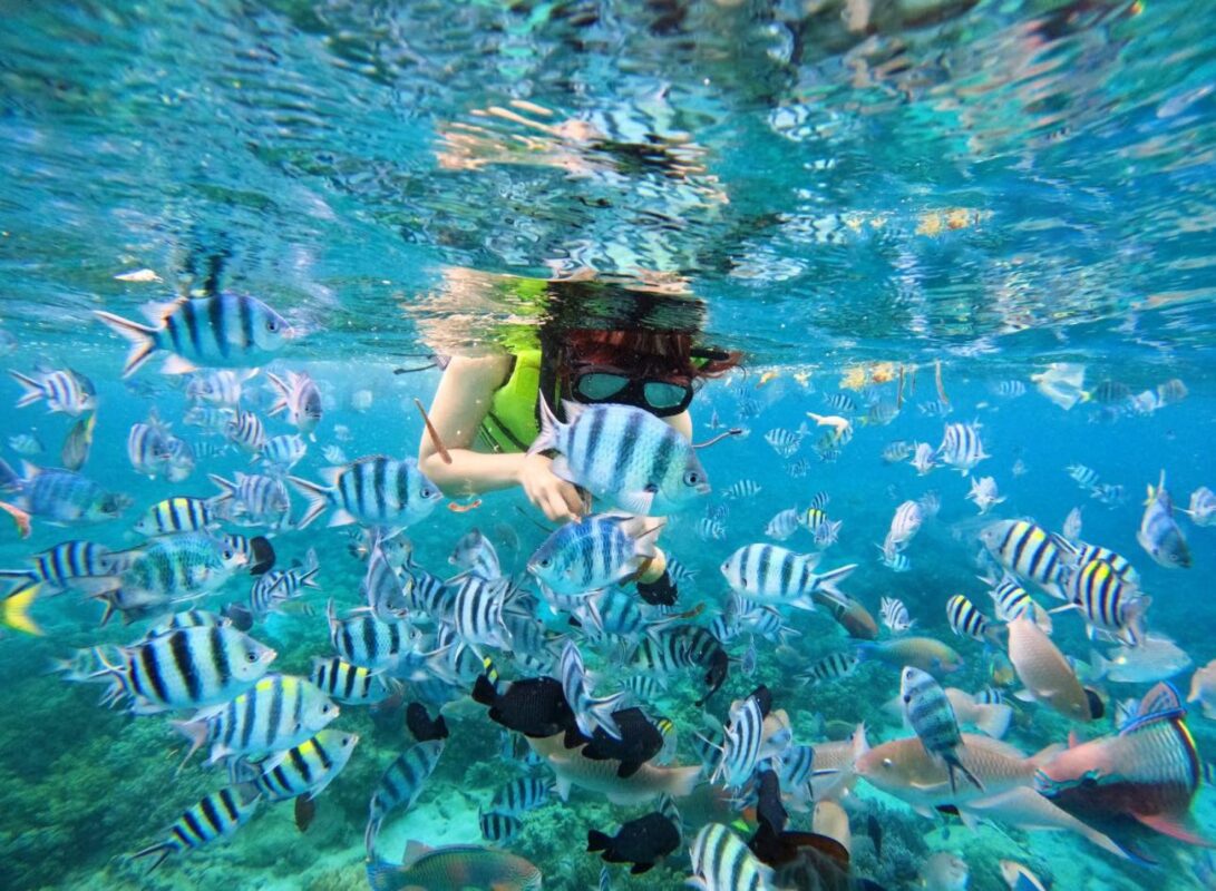 Nha Trang snorkeling tour