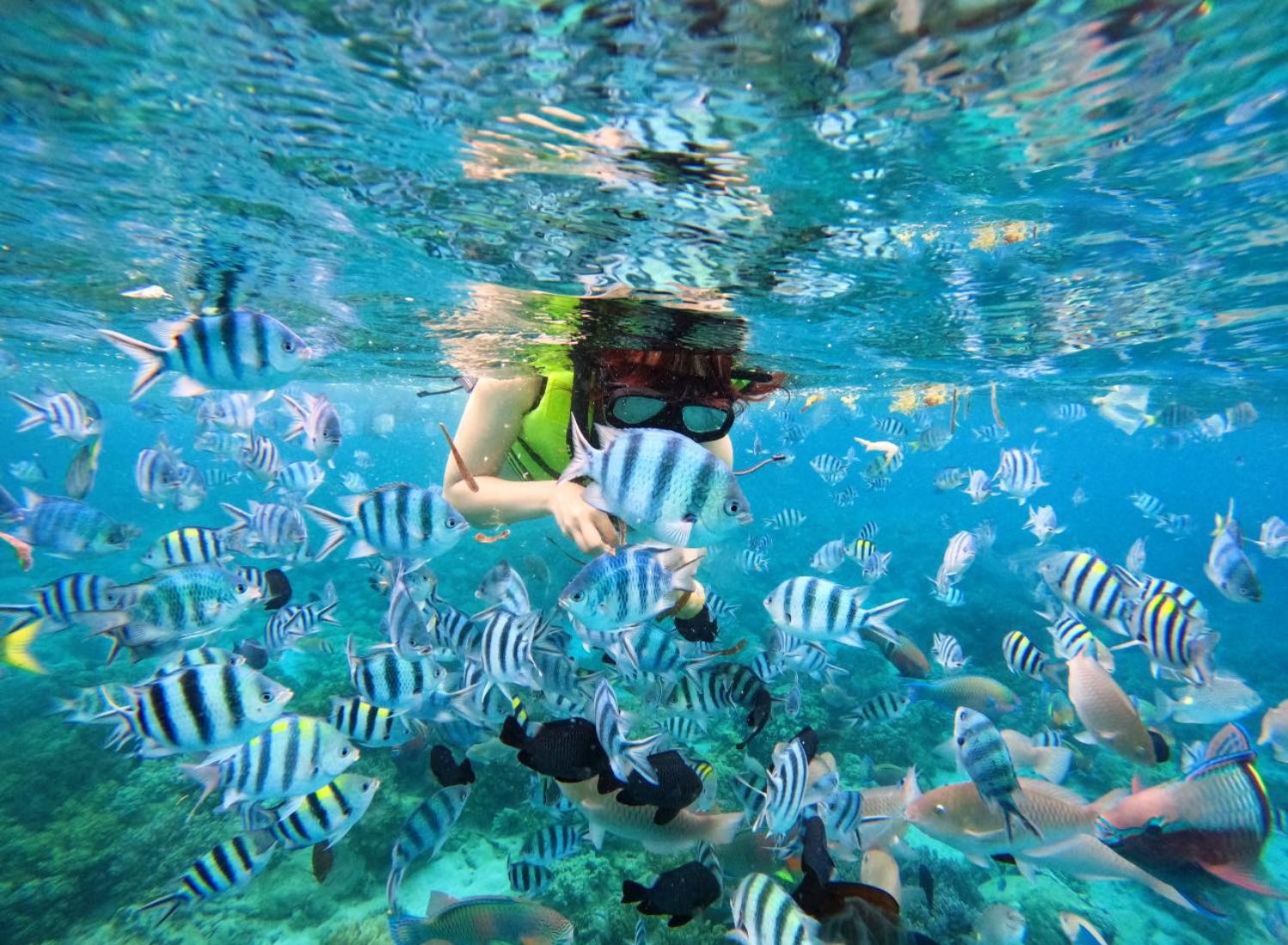 Nha Trang snorkeling tour